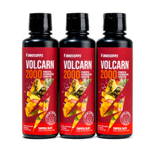 ギャラリービューアに画像をロードします、3 Bottles of Volcarn 2000